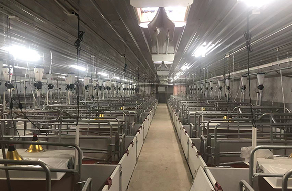 amplificador-de-se&ntilde;al-instalado-en-la-base-de-reproducci&oacute;n.-Cobertura-de-se&ntilde;al-de-&aacute;rea-completa